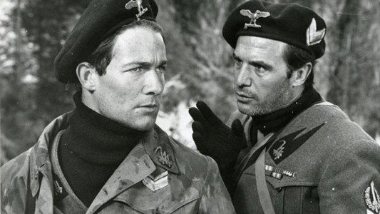 Tiro al piccione