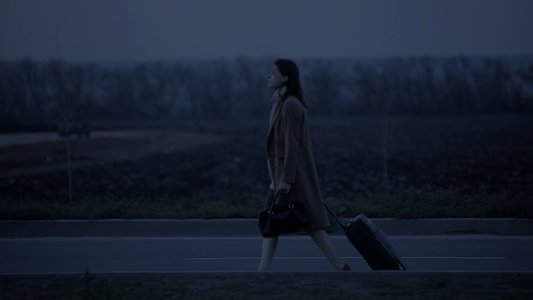 Портрет в сумерках