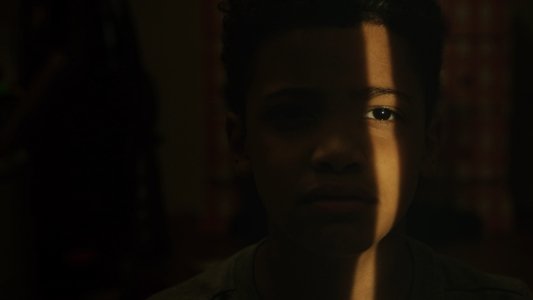 They Wait in the Dark