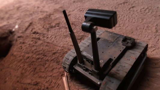 Rise of the Black Pharaohs