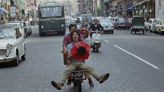 La sequenza del fiore di carta