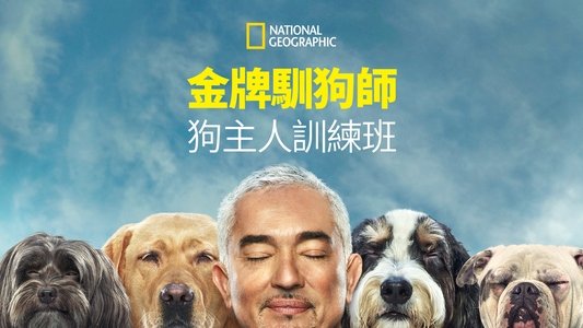 Cesar Millan: Better Human, Better Dog