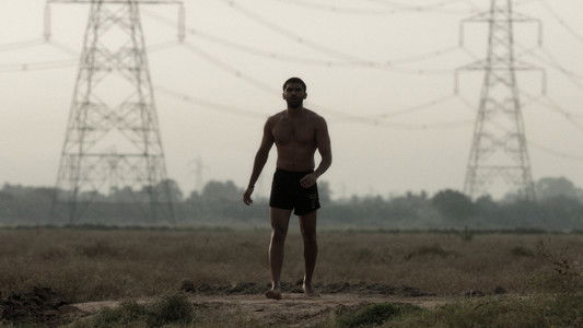 பைசன் காளமாடன்