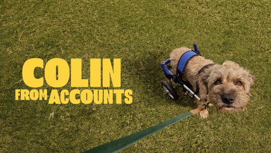 Colin from Accounts