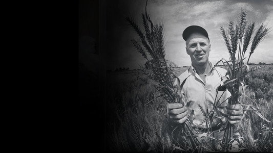 The Man Who Tried to Feed the World