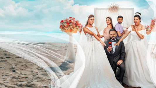 عريس وعروستين