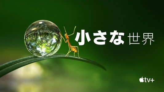 Tiny World