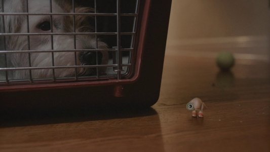 Marcel the Shell with Shoes On