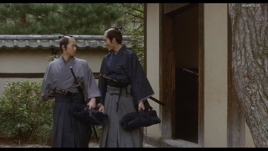 山桜