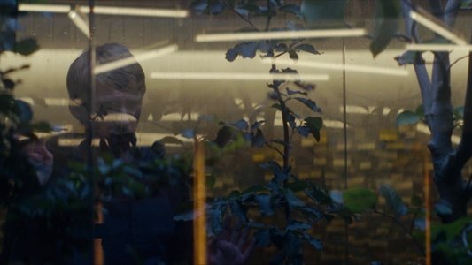 Ex Machina