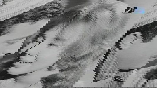 بياعة الجرايد