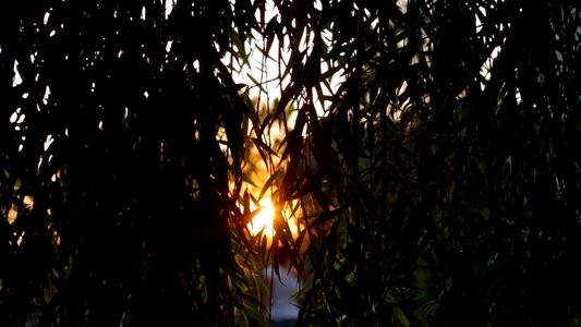 ¿Nos hablan los muertos?