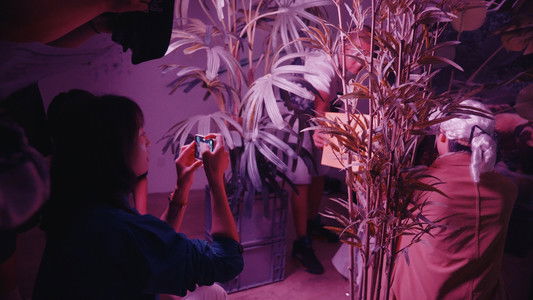 一拍脑袋一个梦