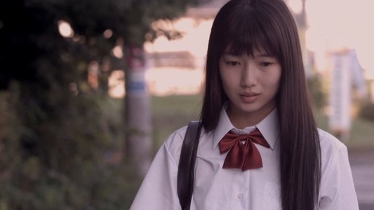 カランコエの花