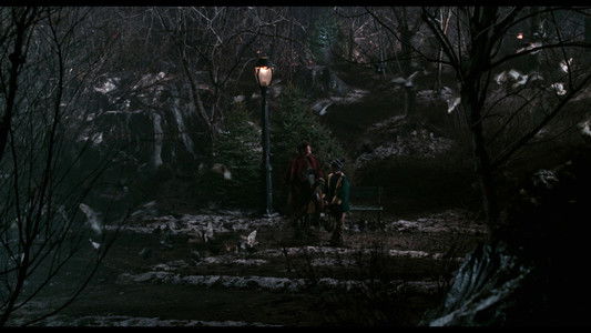 Home Alone 2: Lost in New York