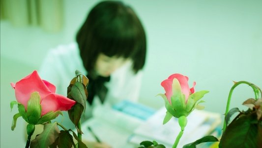我的同桌是极品