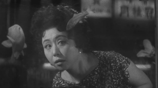 強虫女と弱虫男