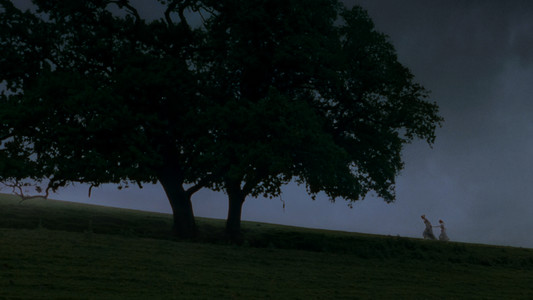 Sense and Sensibility