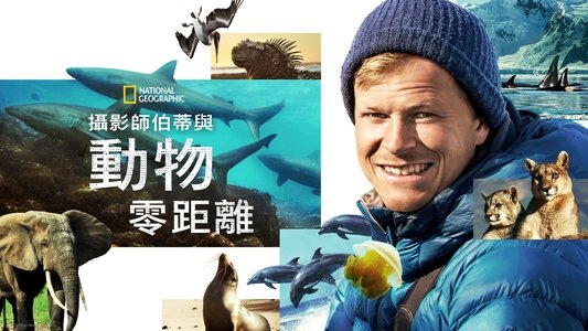 Animals Up Close with Bertie Gregory