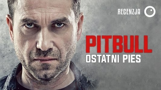 Pitbull. Ostatni pies