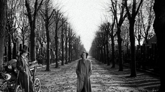 The Third Man