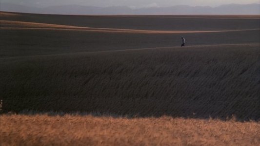 Days of Heaven