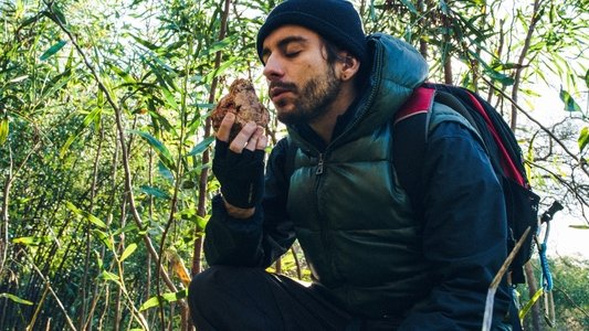 O Intrépido Explorador