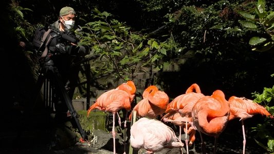 いいZooだね。～岩合光昭の動物園歩き～