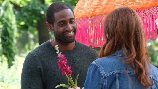 When Love Blooms