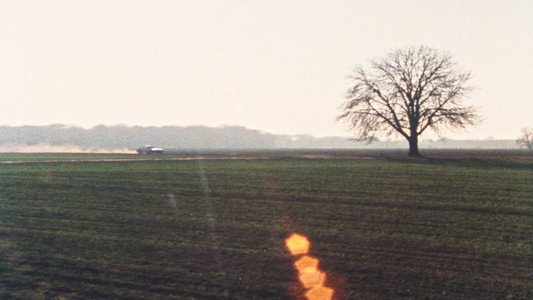 Lemminge