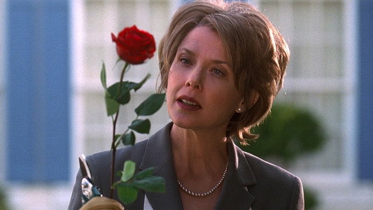 American Beauty