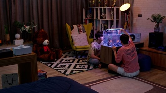 ภาพนายไม่เคยลืม