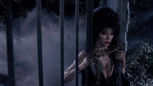 Elvira: Mistress of the Dark