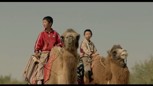 家在水草丰茂的地方