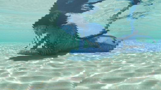 Avatar: The Way of Water