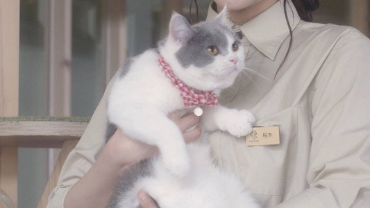 猫カフェ