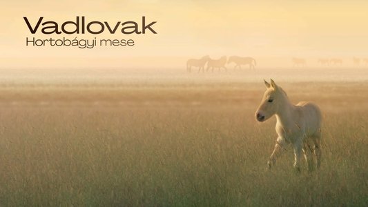 Vadlovak - Hortobágyi mese