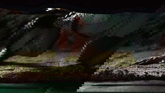 El laberinto del fauno
