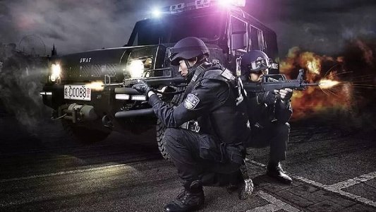 特警本色