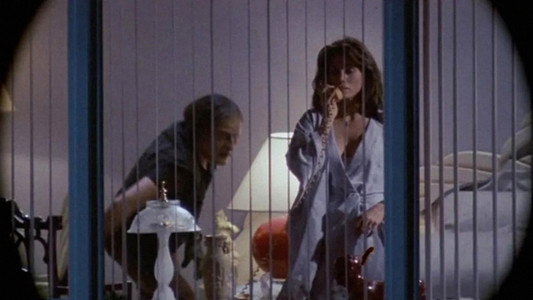 Body Double