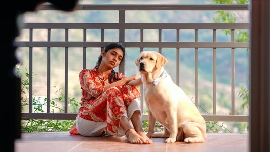அன்புள்ள கில்லி
