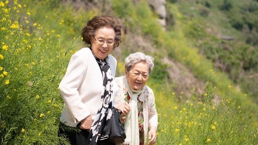 소풍