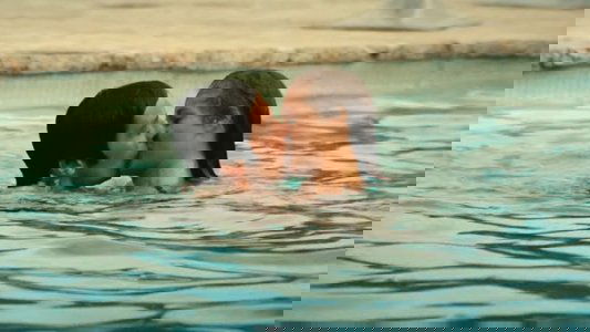 La Piscine