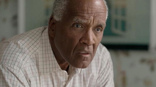 The Brazilian Investment