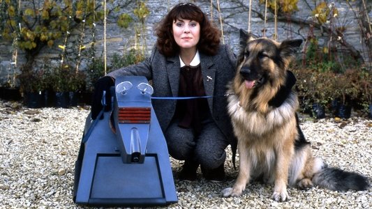 K-9 and Company: A Girl's Best Friend