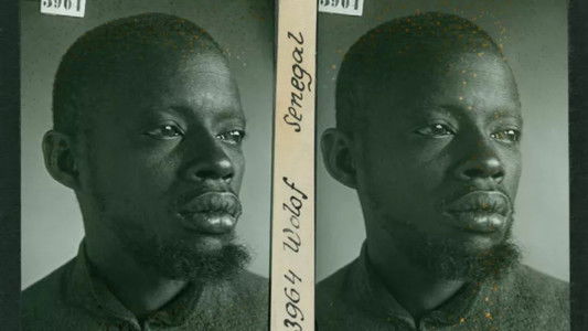 Ils étaient tirailleurs, voix oubliées de la Grande Guerre