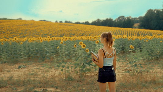 Se souvenir des tournesols