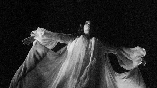 La vendetta di Lady Morgan