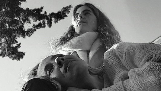 Las Flores Del Campo Santo