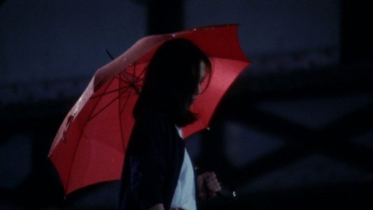 野獣刑事